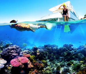 freeport snorkeling lagoon bahamas beach thing why island tours