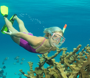 Bahamas Adventure Snorkel