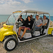 6 Seater Electric Car