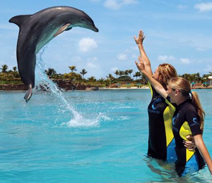 Freeport Dolphin Trainer for a Day