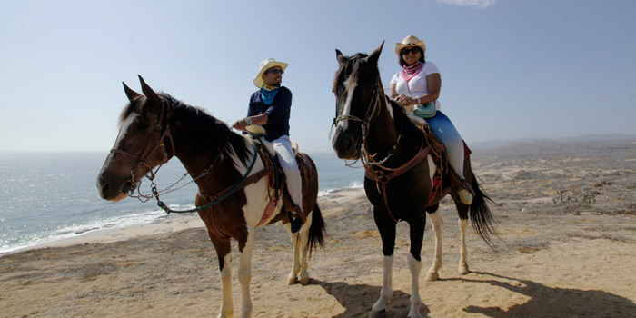 Horseback Riding Beach Tour