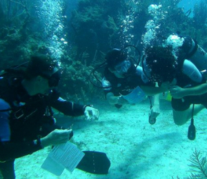Nassau PADI Scuba Diver Course