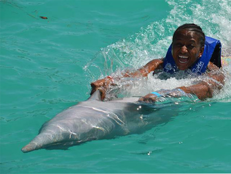 Anguilla - St. Martin - Dolphin Swim