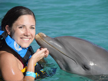 Anguilla - St. Martin - Dolphin Encounter