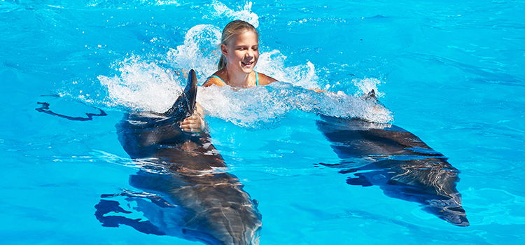 Dolphin Royal Swim VIP  image 4
