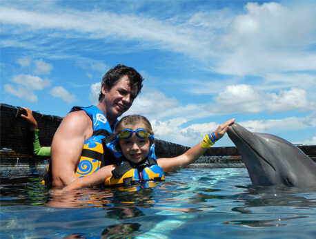 Cozumel - Dolphin Encounter