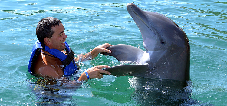 Royal Garrafon & Dolphin Encounter image 4