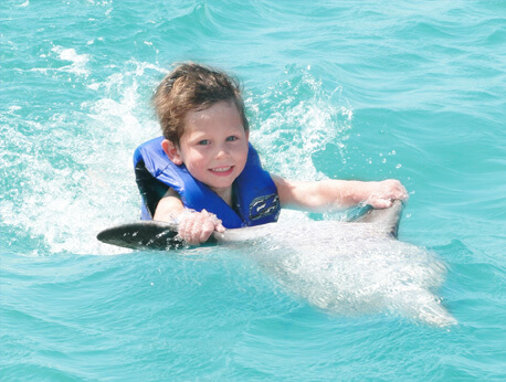Grand Cayman - Dolphin Royal Swim