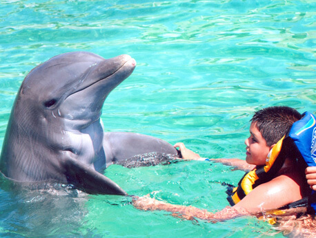 Grand Cayman - Dolphin Swim Adventure