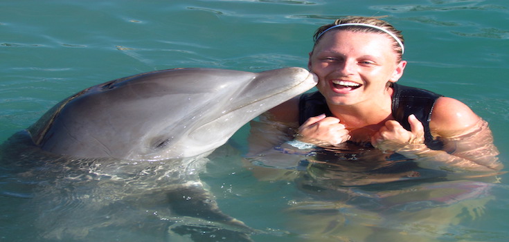 Dolphin Lovers' Swim image 4