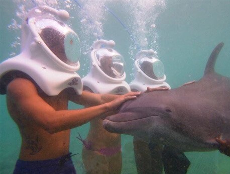 Grand Cayman - Dolphin Trek