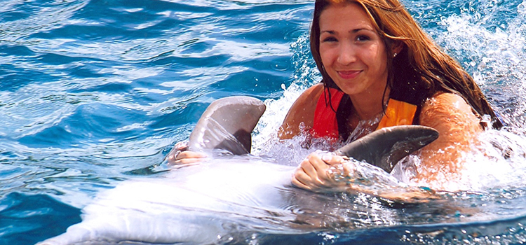Dolphin Swim & Ride image 2