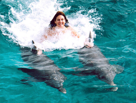 Ocho Rios - Dolphin Royal Swim