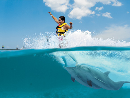 Punta Cana - Dolphin Royal Swim