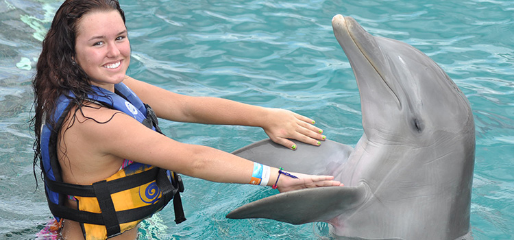 Dolphin Swim Adventure image 3