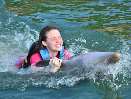 Saint Kitts - Dolphin Swim Adventure