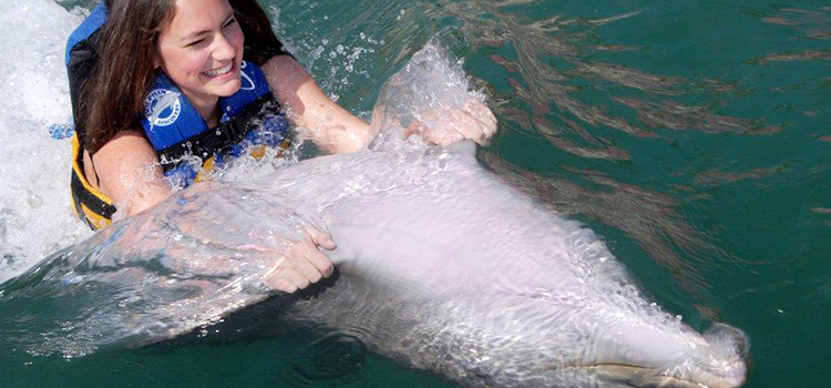 Dolphin Swim Adventure image 2