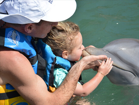 Saint Kitts - Dolphin Encounter