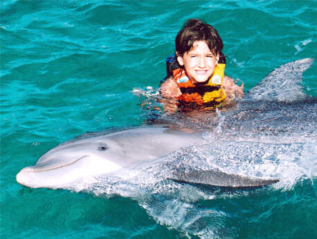 Dolphin Encounter & Admission