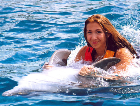 Six Flags - Dolphin Swim