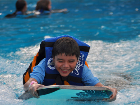 Six Flags - Dolphin Swim & Admission