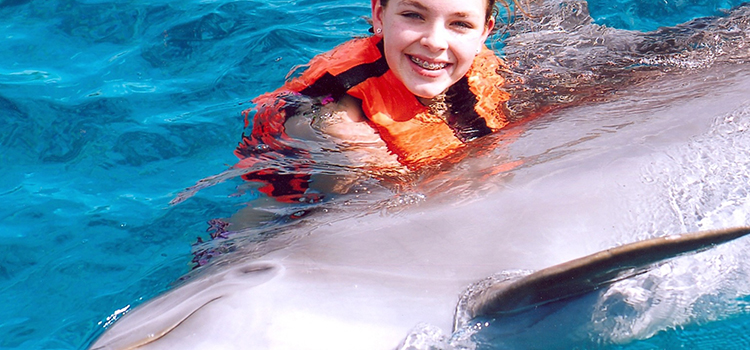 Dolphin Swim & Admission image 3