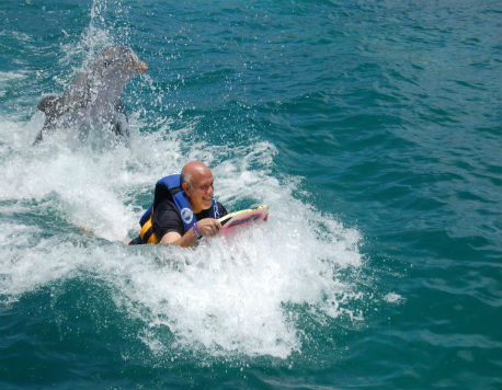 Anguilla - St. Martin - Dolphin Swim Adventure + Ferry + Transfer 