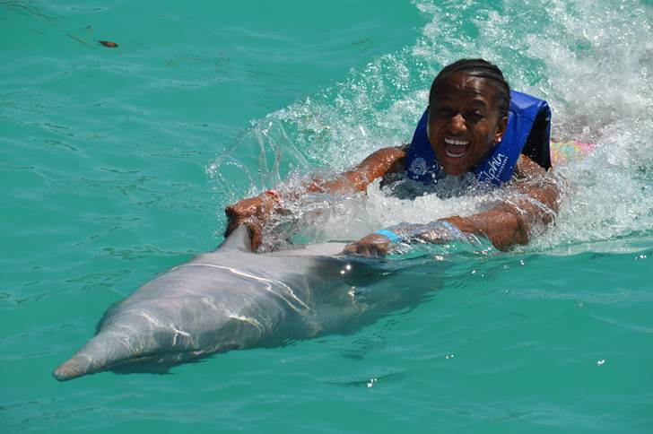 Dolphin Swim Adventure + Ferry + Transfer  image 2