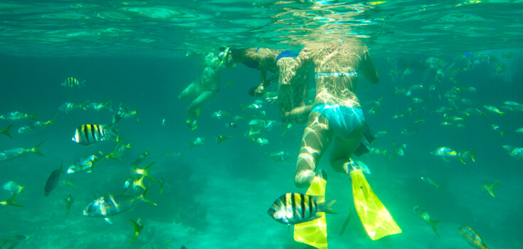 freeport bahamas snorkeling excursions