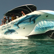 Ocean Vue Adventures Snorkel and Dolphin Watch