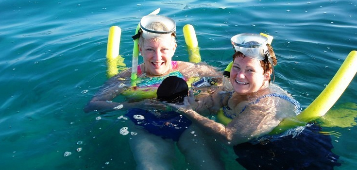 Wild Dolphin Encounter and Snorkel image 3