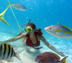 Key West Snuba Diving