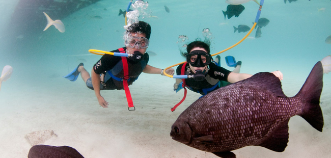 Key West Snuba Diving