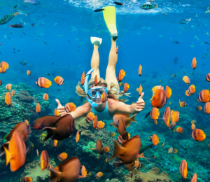 Montego Bay Snorkeling Adventure