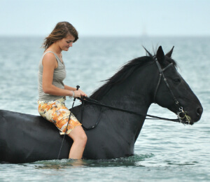 Jamaican Jungle and Heritage Beach Horse Ride 