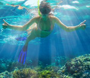 Catalina Island Snorkel Cruise