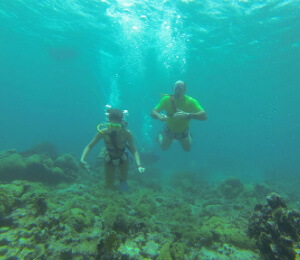 Snorkel and Snuba Cruise with Lunch