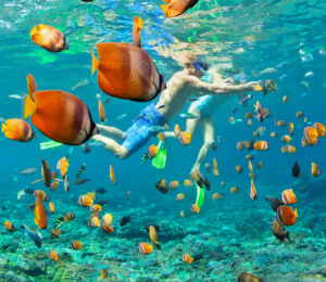 Private Snorkeling Cruise from Providenciales