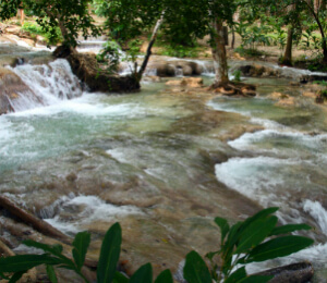 Dunns River Falls Beach and Shopping Excursion