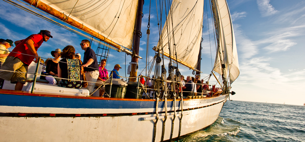 Appledore Day Sail