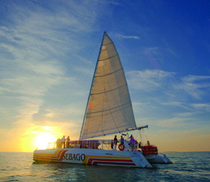 Reef Snorkel and Sunset Cruise Combo