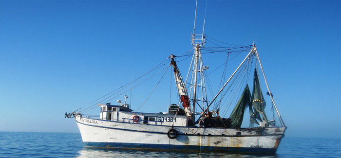Gulf Shrimp Boat Trips
