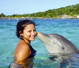 Blue Lagoon Dolphin Encounter