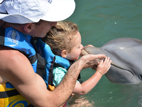Blue Lagoon Dolphin Close Encounter