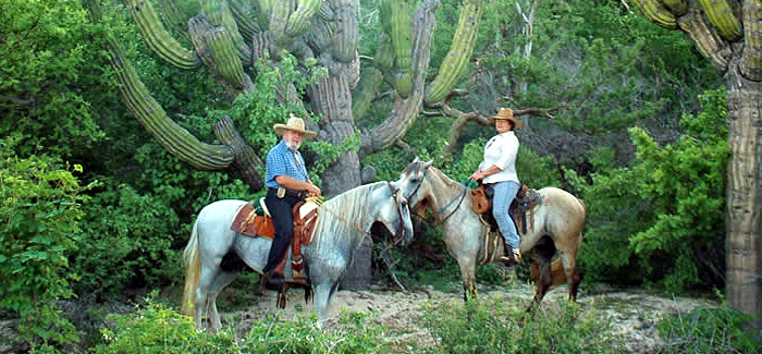 Horseback Riding Canyon Tour