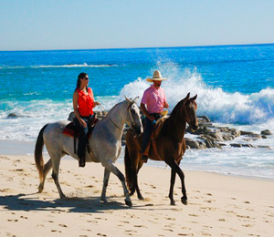 Horseback Riding Hills and Beach Tour