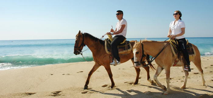 Horseback Riding Hills and Beach Tour