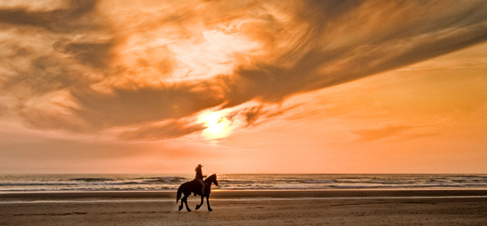 Horseback Riding Hills and Beach Tour