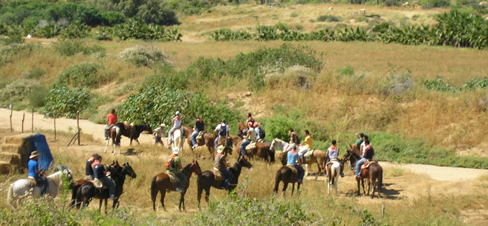 Horseback Riding Hills and Beach Tour
