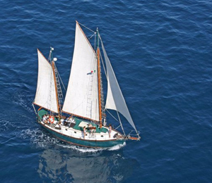 Cabo Sail & Snorkel Cruise